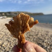   at Chesil Chippie in Portland