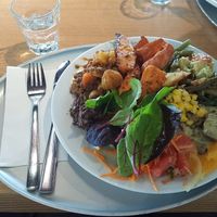 Vegan buffet (around CHF 25) at Tibits in Basel