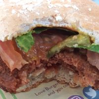 Beyond burger at BurgerFi in Oviedo