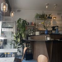   at Camion in Antwerpen