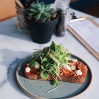 Toast “gekapt”: their vegan version of the classic Americain at Camion in Antwerpen