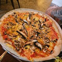  at Fat Badgers Pizza Bar in Queenstown