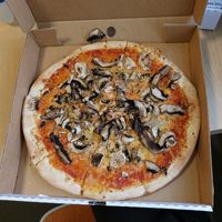  at Fat Badgers Pizza Bar in Queenstown