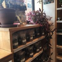 Crudessence (Rachel) at Crudessence - Rachel in Montreal