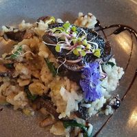 😋 at Halo in Queenstown