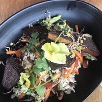 Tofu rice  at Halo in Queenstown