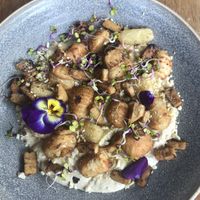 Gnocchi.. was good ! at Halo in Queenstown