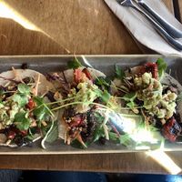 Tacos  at Halo in Queenstown