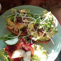 Avocado toast vegan at Coffee Stains in Pai