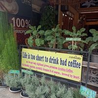  at Coffee Stains in Pai