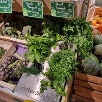  at Luberon Bio in Apt