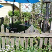 exterior at Bird's Nest Cafe in Nashville