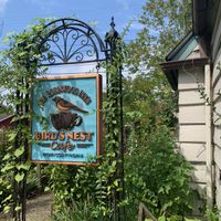 You’ve arrived! 🪺   at Bird's Nest Cafe in Nashville