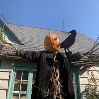 Great ambiance- especially during spooky season! 🎃🧙🍁  at Bird's Nest Cafe in Nashville