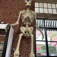 He’s watching to see if you enjoyed your burger !  at Plant Slayer in Fresno
