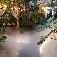  at Vi Lai - Maybe closed in Hanoi