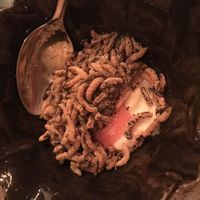 Rice pudding with rhubarb   at Hypha in Chester