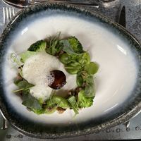 Oyster mushroom   at Hypha in Chester