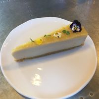 Lemon cheesecake! at Hypha in Chester