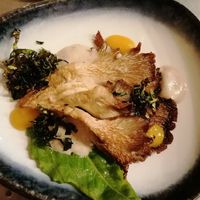 Oyster mushrooms with truffle and apricot at Hypha in Chester