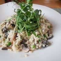 Mushroom risotto 🍄 at Green Loft in Northampton
