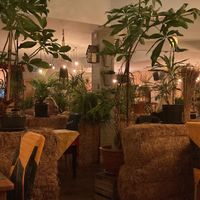   at Green Loft in Northampton