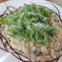 Wild mushroom and truffle risotto at Green Loft in Northampton