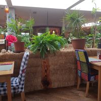 Relaxing setting at Green Loft in Northampton