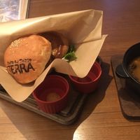 Vegan burger and vegan soup with Hokkaido beans at Terra in Sapporo