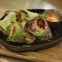 spring rolls at Terra in Sapporo