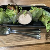 Spring rolls.  at Terra in Sapporo