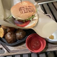 Vegan burger and super tasty fried potatoes  at Terra in Sapporo