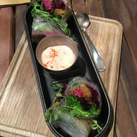 Fresh spring roll with mixed vegetables at Terra in Sapporo