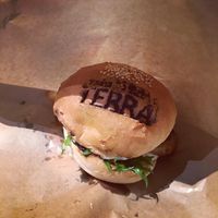 Soy meat burger at Terra in Sapporo