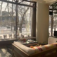 Cozy eating areas with a lovely street view at Terra in Sapporo