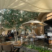 Inside at Terra in Sapporo