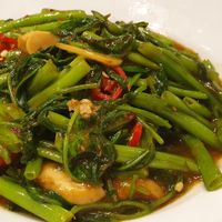 Kangkomg at D'Life Signature 蔬品軒 - Novena in Central Singapore