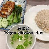 Vegan chicken rice at D'Life Signature 蔬品軒 - Novena in Central Singapore