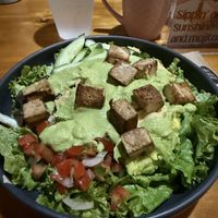   at Vegan Adventure Holidays in Antigua