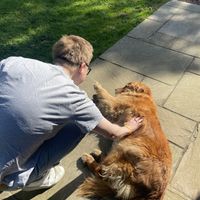   at Nab Cottage in Bexhill