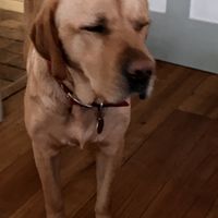 Charley  at Nab Cottage in Bexhill