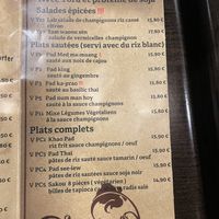 Vegetarian and vegan menu   at Khao Thip in Nancy