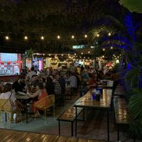 This is the outdoor food Mercado. You've probably been to one of these before. It was a fun environment with lots of drink options to pair with the food at Vegan Packs. at Vegan Packs in Merida
