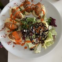 Falafel Hummus  at Vegessence in Belgrade