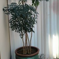  at Su Ming Xiang in Qingdao