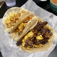   at Veegos in Houston