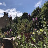 Shepleys garden at Shepley's in Glossop