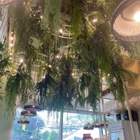   at Tonklar Facai - Chula in Bangkok