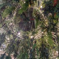 Hanging plants in the dining room at Tonklar Facai - Chula in Bangkok