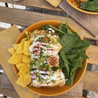 Enchiladas  at Veganika in Ljubljana